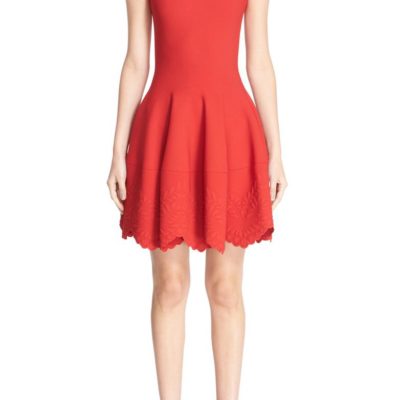 ALEXANDER MCQUEEN | Embossed Fit & Flare Dress
