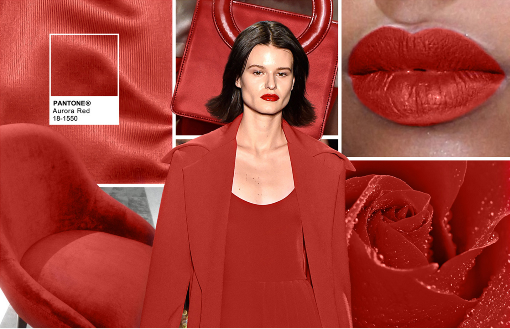 Photo Source: Pantone Color Institute / Silk: Barbara Casasola Bag: Opening Ceremony Lips: Fashion Snoops Beauty Rose: Rose in Waterdrops by Gn Om (istock.com/gn_om) Woman: Christian Siriano Chair: Mambo Unlimited