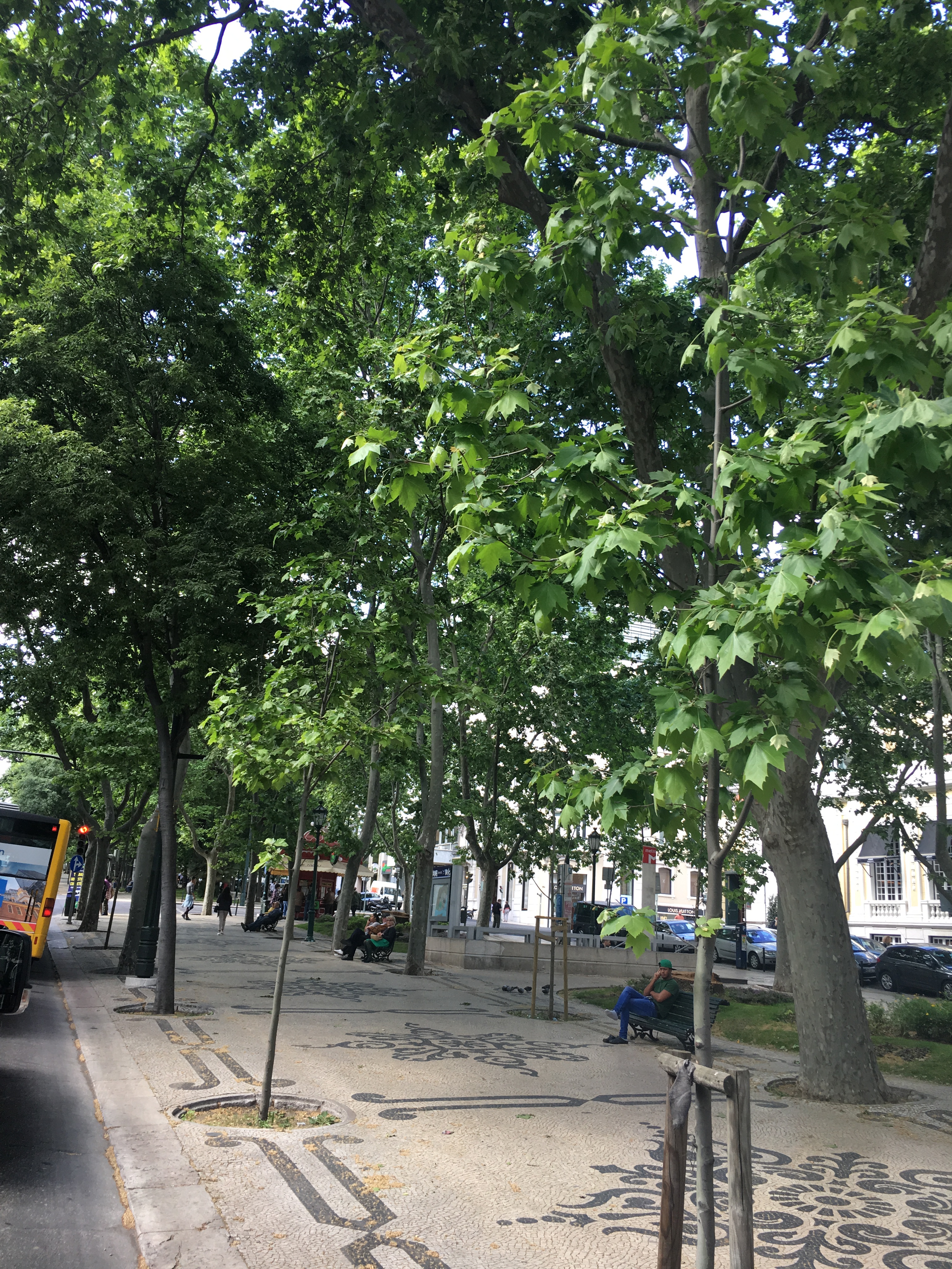 The streets of Lisbon